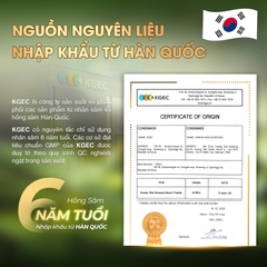 Nước Hồng Sâm Hàn Quốc KGinseng Đông Trùng Hạ Thảo - Lọ 100ml