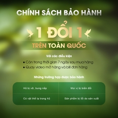 Nước Hồng Sâm Hàn Quốc KGinseng Đông Trùng Hạ Thảo - Lọ 100ml