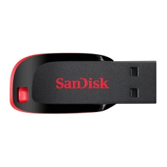 USB Sandisk 4GB