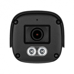 Camera IP TIANDY TC-C321N V2.0