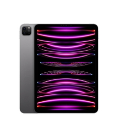 IPad Pro 11in M1 2020