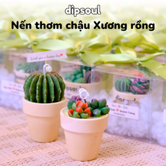 Nến thơm chậu Xương rồng
