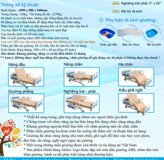 Giường Bệnh Nhân Chạy Điện Đa Chức Năng Akiko A88-03 New