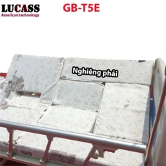 Giường Điện Đa Chức Năng Lucass GB-T5E
