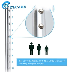 Gậy tập đi Lucass B-24 ( B-924 ) cho người già