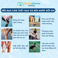 Băng gối thể thao Vantelin Nhật Bản bảo vệ dây chằng đầu gối khỏi bị chấn thương