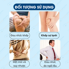 Miếng dán ngải cứu vai gáy cao cấp Aicaojingzhuitie hộp 12 miếng