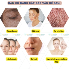 Collagen queen beauty serum 30++ dưỡng chất vitamin c collagen nhau thai cừu giảm thiểu nếp nhăn và lão hóa