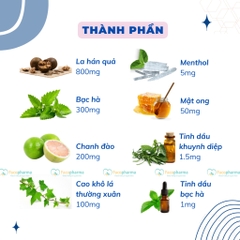 Kẹo ngậm ho bạc hà Korea cao lá thường xuân chanh đào mật ong the mát giảm đau họng hộp 24 viên