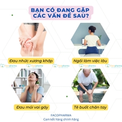 Miếng dán ngải cứu vai gáy cao cấp Aicaojingzhuitie hộp 12 miếng