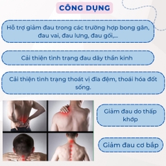 Miếng dán ngải cứu vai gáy cao cấp Aicaojingzhuitie hộp 12 miếng