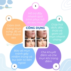 Miếng dán mụn gom cồi trong suốt bảo vệ mụn, che khuyết điểm gói 24 miếng