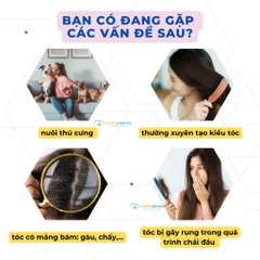 Lược chải chấy răng dày giúp loại bỏ trứng chấy hiệu quả, cảm giác cầm nắm dễ dàng