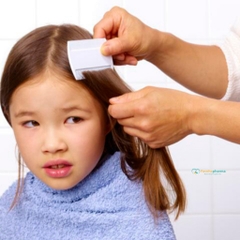 Lược chải chấy răng dày giúp loại bỏ trứng chấy hiệu quả, cảm giác cầm nắm dễ dàng