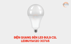 Điện Quang Đèn LED bulb CSL LEDBU11A120 30765 (30W daylight, chụp cầu mờ)