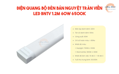 Điện Quang Bộ đèn bán nguyệt tràn viền LED BNTV 1.2m 60W 6500K