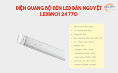 Điện Quang Bộ đèn LED bán nguyệt LEDBN01 24 770 (0.6m 24W daylight, thân nhôm)