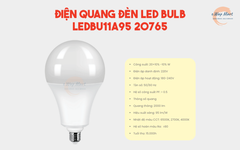 Điện Quang Đèn LED bulb LEDBU11A95 20765 (20W daylight, chụp cầu mờ)