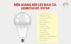 Điện Quang Đèn LED bulb CSL LEDBU11A120 30765 (30W daylight, chụp cầu mờ)