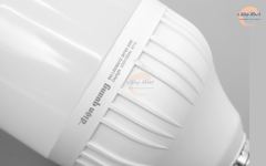 Điện Quang Đèn LED bulb công suất lớn LEDBU12 30765 (30W ánh sáng trắng, bầu kín)