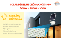 Solar Đèn NLMT chống chói TS-89100 (100W)