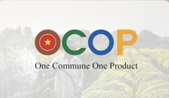 Sản Phẩm OCOP Là Gì? Vì Sao Người Tiêu Dùng Thông Thái Nên Ưu Tiên Mua Sắm?