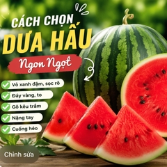 Cách Chọn Dưa Hấu Ngon Ngọt – Mẹo Đơn Giản Ai Cũng Làm Được
