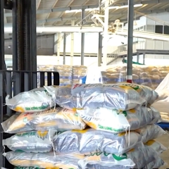 Nguồn Gạo ST25, ST21, Lúa Tôm Giá Sỉ Hà Nội | Delimart Phân Phối Gạo AAN Chính Hãng