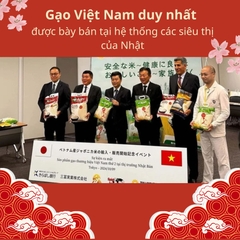 Gạo Nhật Japonica AAN chính hãng - Túi 5kg
