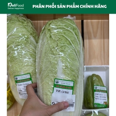 Cải thảo sạch Lâm Thao - Kg
