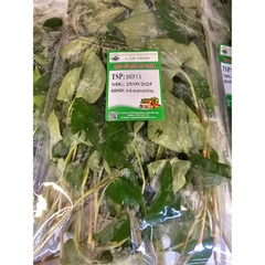 Diếp cá (dấp cá) - Túi 100g