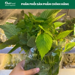 Kinh giới sạch Lâm Thao - Túi 50G