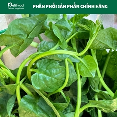 Mồng tơi sạch Lâm Thao - Túi 500G