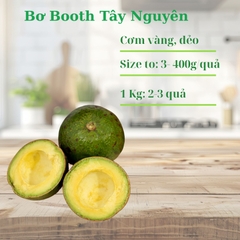 Bơ Booth tây nguyên- Kg
