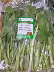 Cải ngồng sạch Lâm Thao - Túi 500g
