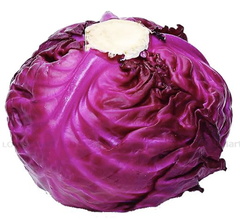 Bắp cải tím Sạch Lâm Thao - KG