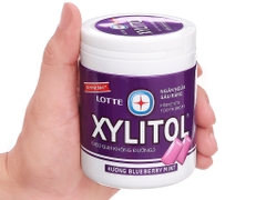 Kẹo gum không đường Lotte Xylitol hương Blueberry Mint hũ 130.5g