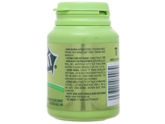 Kẹo sing-gum DoubleMint hương bạc hà hũ 58.4g