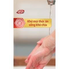 LIFEBUOY nước rửa tay chanh khử mùi - chai 180g