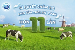 Sữa bột nguyên kem Dutch Lady - hộp giấy 400g