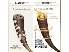 Dầu Xả Pantene Ngăn Rụng Tóc - Chai 650ml