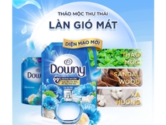 Nước Xả Vải Downy Làn Gió Mát - Túi 2.6L