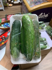 Dưa chuột sạch Vegetexco - Khay 500g