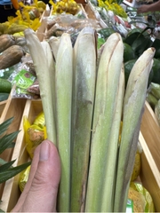 Củ sả sạch Lâm Thao - bó 100g