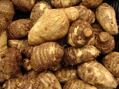 Khoai Sọ sạch Lâm Thao - Túi 500g