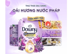 Downy nước xả vải Hương hoa oải hương - túi 2,5L
