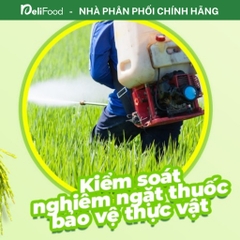 Gạo ST25 chính hãng A AN Túi 3kg - Gạo dẻo thơm ngon số 1 thế giới