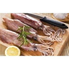 Mực Ống Tươi 6–10 Con/kg – Thân Dày, Thịt Ngọt, Cấp Tốc Giao Tươi
