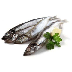 Cá Trứng Nauy Đông Lạnh 450g – Béo Trứng, Thịt Ngon, Chiên Nướng Đều Hợp