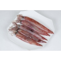 Mực Trứng Câu Size 18–22 200g – Căng Mực, Đầy Trứng, Hấp Chiên Đều Ngon
